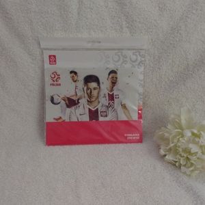NEW, Polish Polska Soccer Players Team Mouse Pad